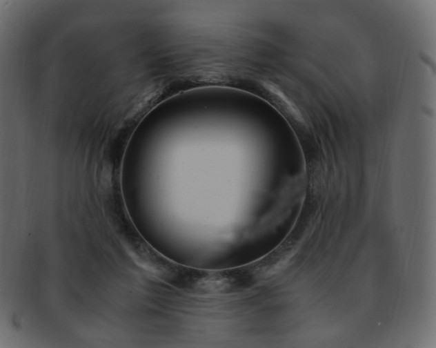 X0000092310213200709141400