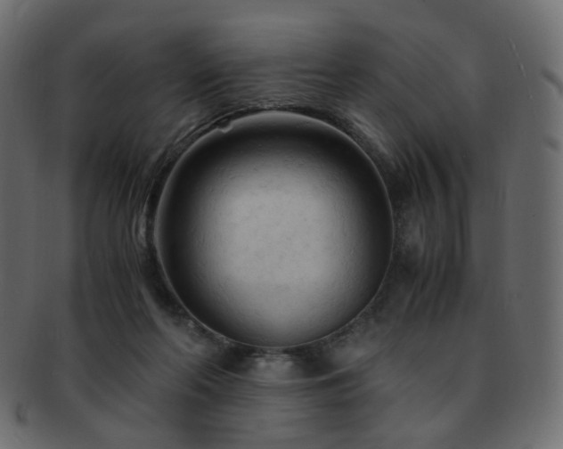 X0000092310214200709141400
