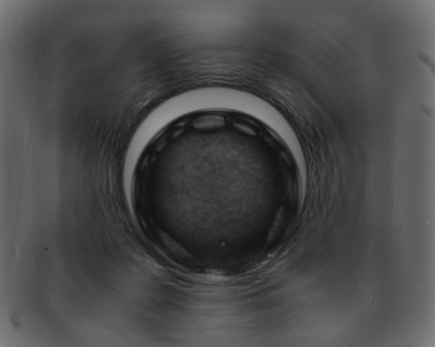X0000092310219200709141400