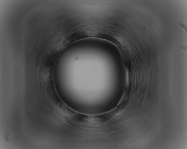 X0000092310221200709141400