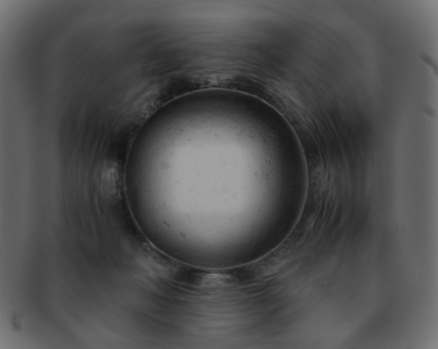 X0000092310222200709141400