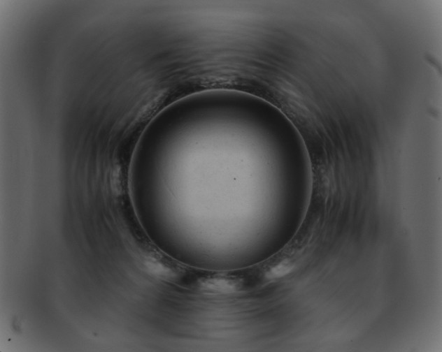 X0000092310224200709141400