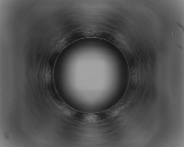 X0000092310226200709141400