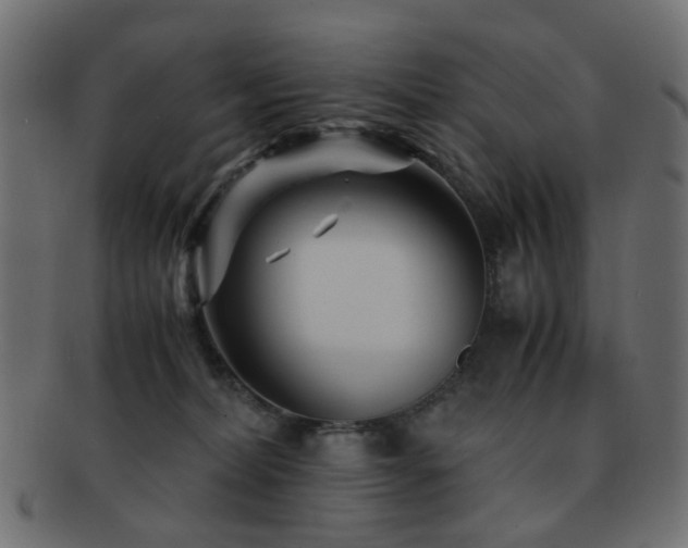 X0000092310228200709141400