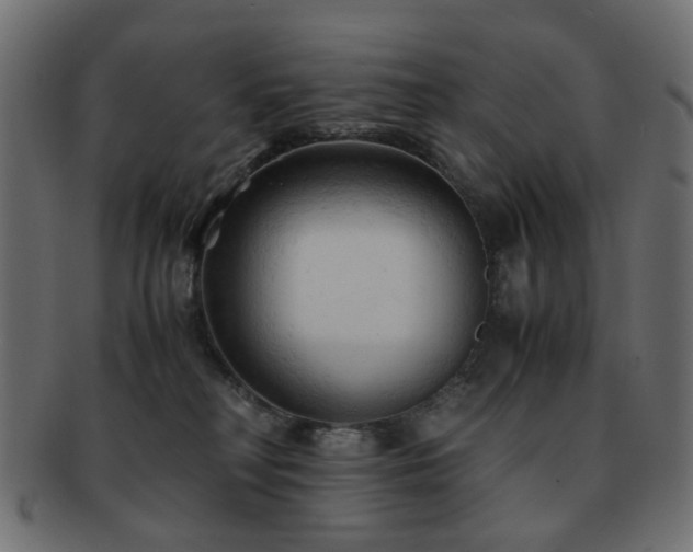 X0000092310230200709141400