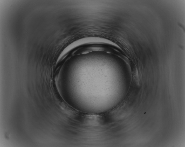 X0000092310233200709141400