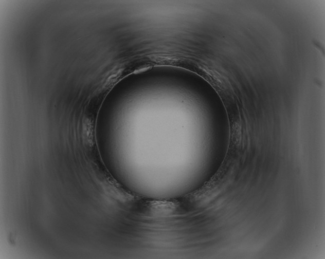 X0000092310234200709141400