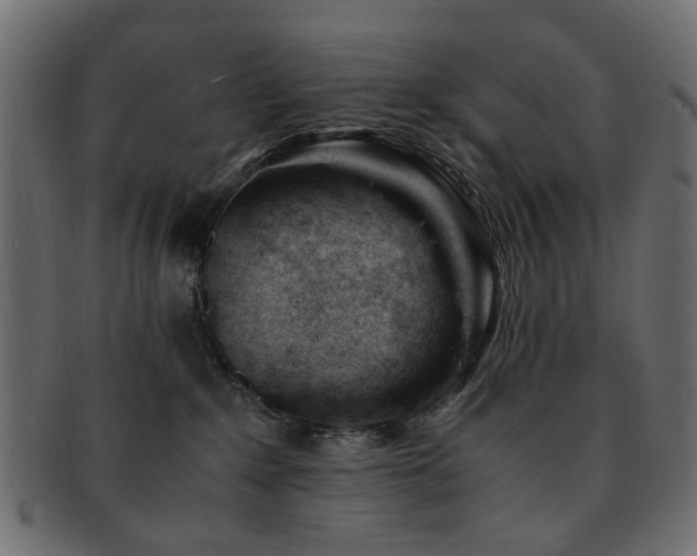 X0000092310235200709141400