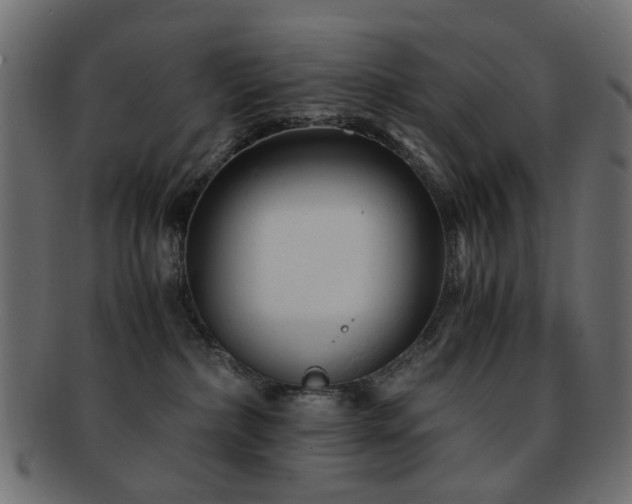 X0000092310236200709141400