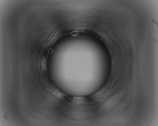 X0000092310240200709141359