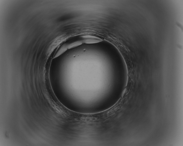 X0000092310242200709141359