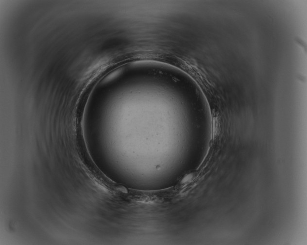 X0000092310243200709141359