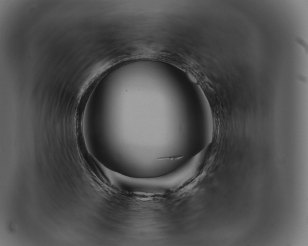 X0000092310244200709141359