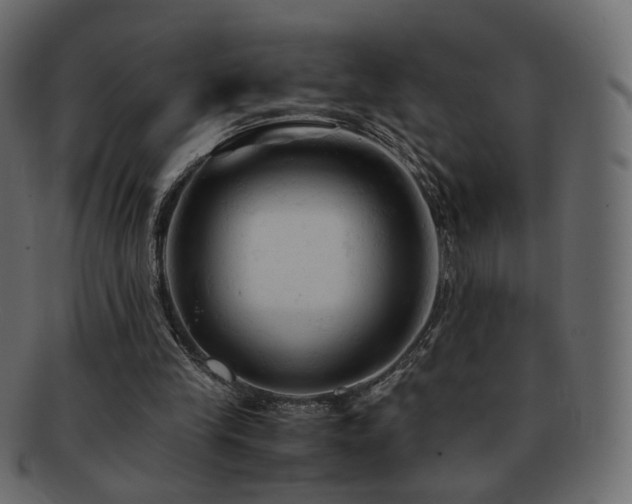 X0000092310245200709141359