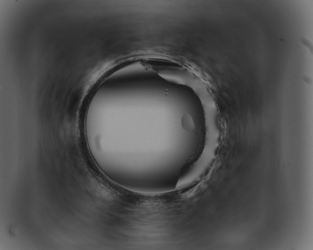 X0000092310248200709141359