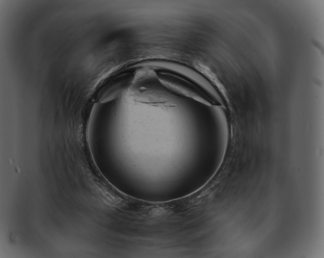 X0000092310249200709141359