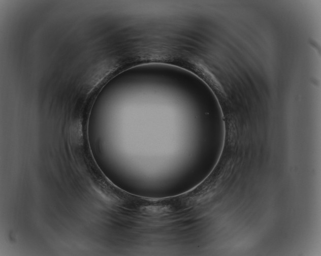 X0000092310251200709141359