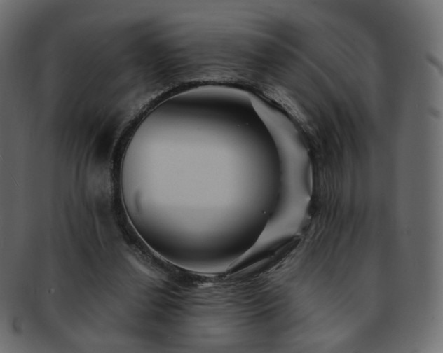 X0000092310252200709141359