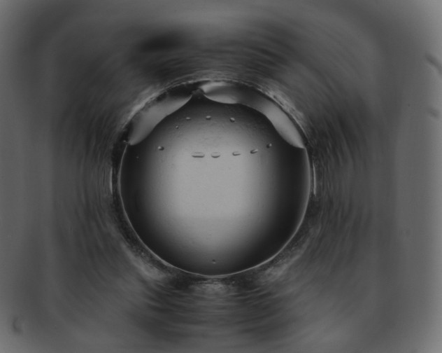 X0000092310253200709141359