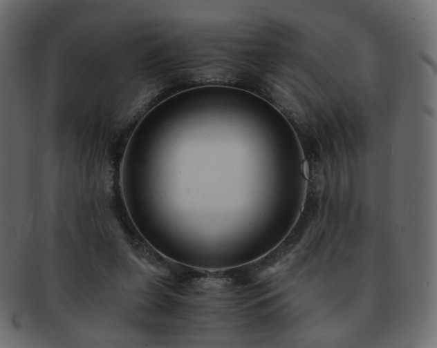 X0000092310255200709141359