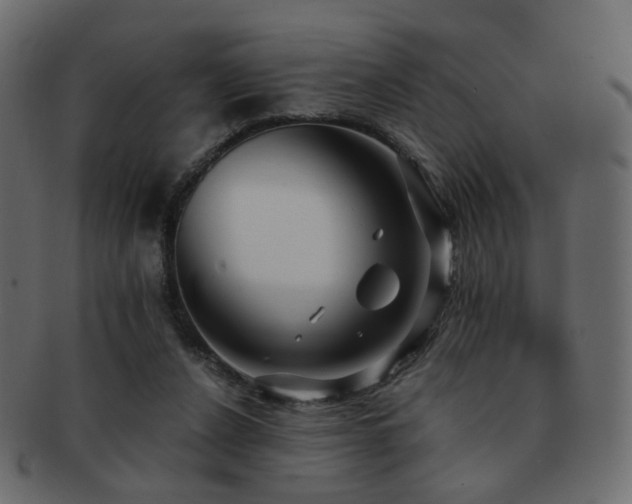X0000092310256200709141359