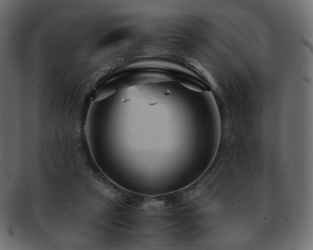 X0000092310257200709141359