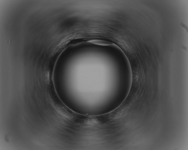 X0000092310262200709141359