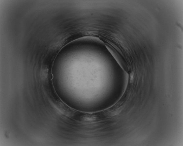 X0000092310263200709141359