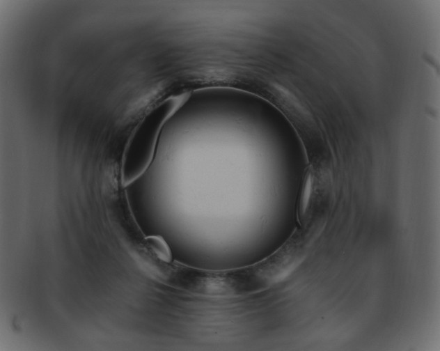 X0000092310264200709141359