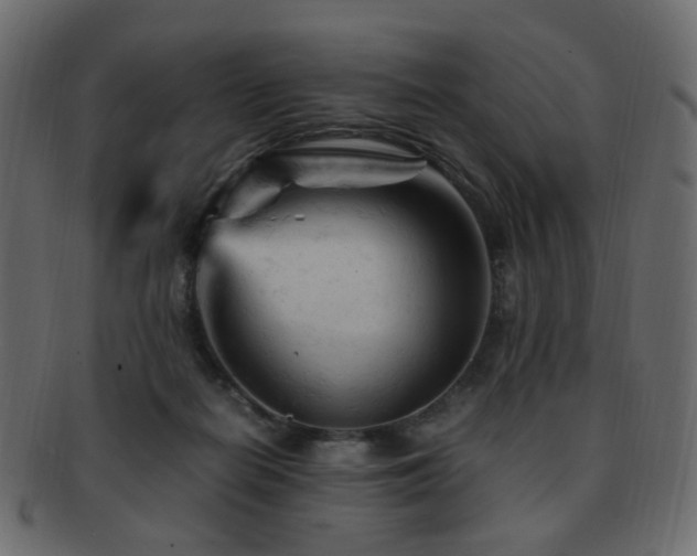 X0000092310266200709141359