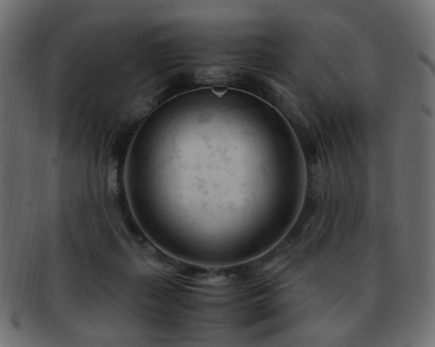 X0000092310267200709141359