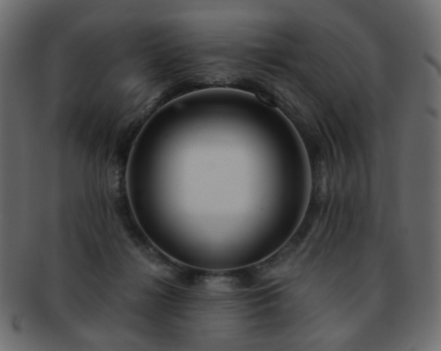 X0000092310268200709141359
