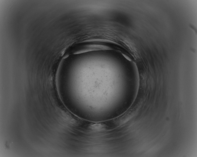 X0000092310269200709141359