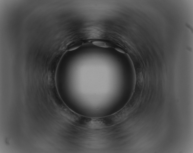 X0000092310270200709141359