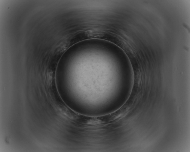X0000092310271200709141359