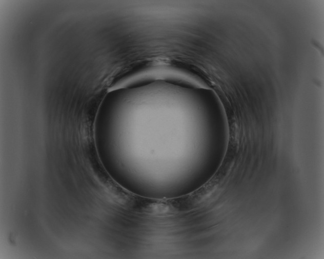 X0000092310272200709141359