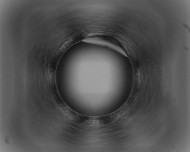 X0000092310276200709141359