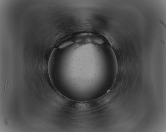 X0000092310277200709141359