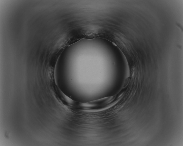 X0000092310280200709141359