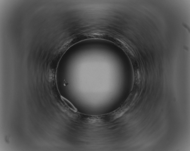 X0000092310284200709141359