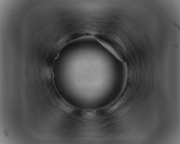 X0000092310285200709141359