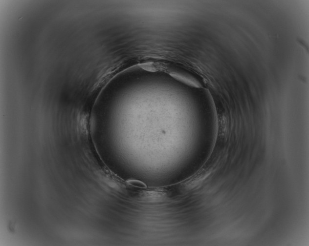 X0000092310286200709141359