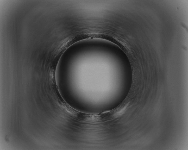 X0000092310288200709141359