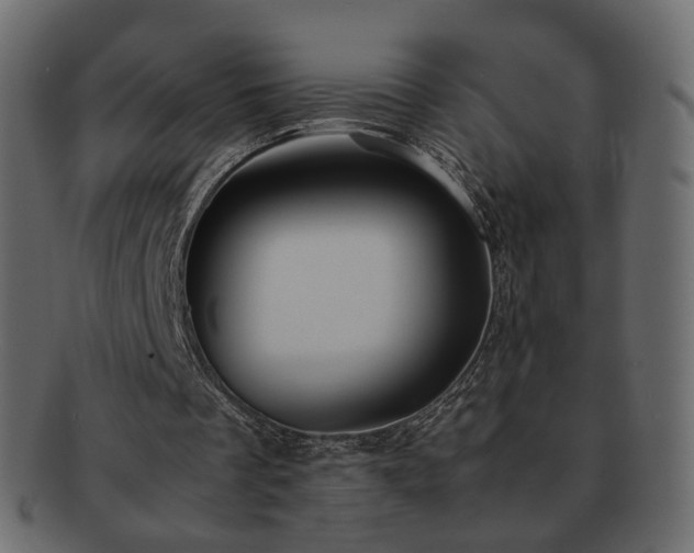 X0000092310289200709141359