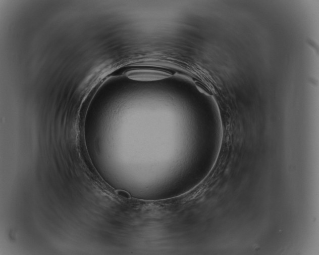 X0000092310290200709141359