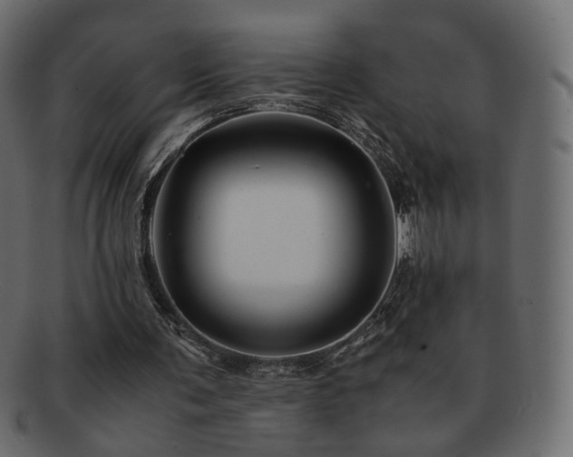 X0000092310291200709141359