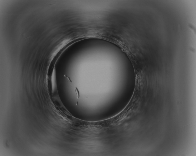 X0000092310292200709141359