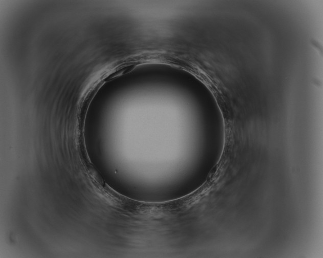 X0000092310293200709141359