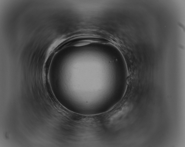 X0000092310294200709141359