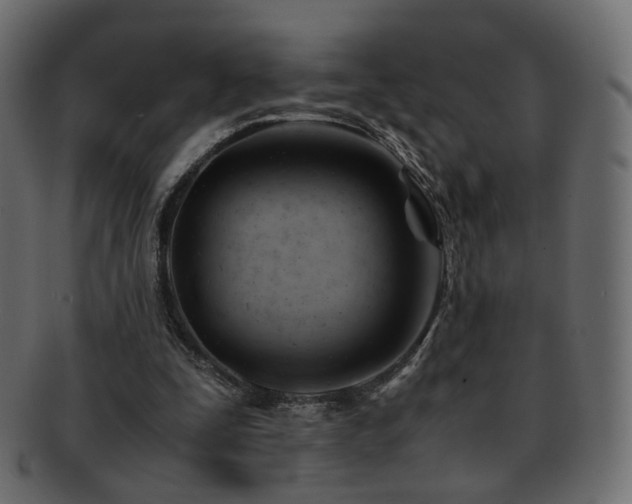 X0000092310295200709141358
